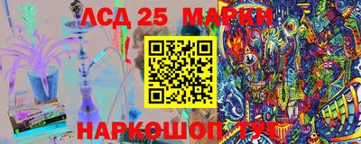 стафф Бердск