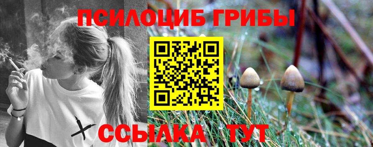 Псилоцибиновые грибы MAGIC MUSHROOMS Воркута