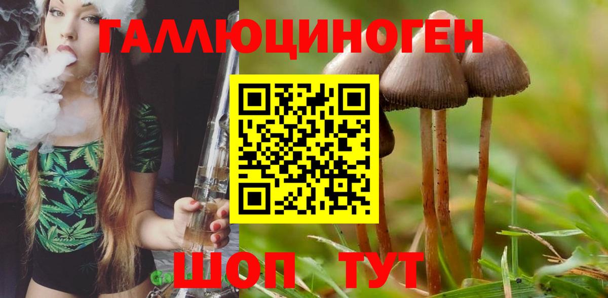 Воркута  Псилоцибиновые грибы GOLDEN TEACHER  наркотики  Вход с VPN 
